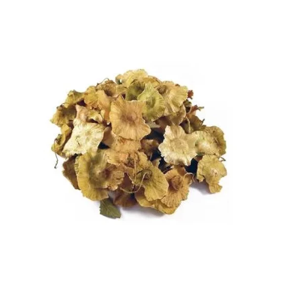 Deve Tabanı (Karaçalı) 50 Gr, Lokman Aktar - Resim 3
