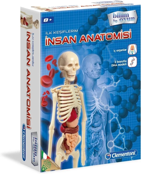 Clementoni 64297 İlk Keşiflerim İnsan Anatomisi ürün görseli 1