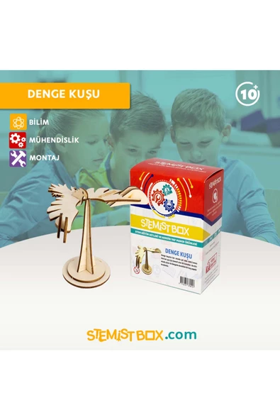 Stemist Box Denge Kuşu - Resim 6
