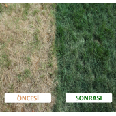 Lawn Make-Up Çim Boyası 1 lt thumbnail 3