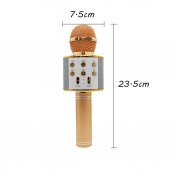 Sihirli Karaoke Mikrofon Bluetooth Sd Card Mikrofonu thumbnail 2