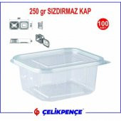250 gr. Plastik Sızdırmaz Kap 100 Adet thumbnail 2