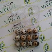 BILDIRCIN YUMURTA VİYOLU 1500 ADET thumbnail 7
