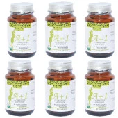 HHS A1 L-Carnitine Lepidium A+1 Bitkisel 30 Kapsül X 6 Adet Kutu thumbnail 2
