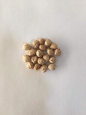 Nohut Kg. Yemeklik thumbnail 2