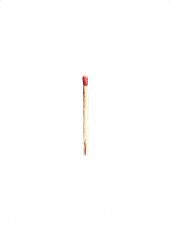 RAMMSTEIN - RAMMSTEIN (SPECIAL EDITION) (CD) thumbnail 2