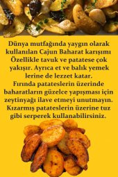 Cajun Baharatı 500 gr (Patates Baharatı) thumbnail 2