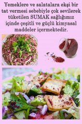 Sumak Öğütülmüş 500 gr thumbnail 2