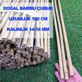 BAMBU BİTKİ DESTEK ÇUBUĞU 180 CM  (5 ADET) thumbnail 1