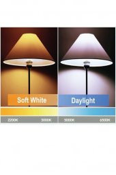 Philips 13W (100W) Led Ampul Beyaz 6500K E27 Duy thumbnail 6