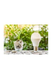 Philips 8W (60W) Led Ampul Beyaz 6500K E27 Duy thumbnail 6