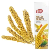 Fizzy Doğal Dal Darı thumbnail 1