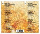 TÜRKÜLERE KALAN 3 - ÇEŞİTLİ SANATÇILAR (2 CD) (2020) thumbnail 2