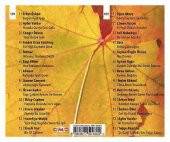 TÜRKÜLERE KALAN 2 - ÇEŞİTLİ SANATÇILAR (2 CD) (2020) thumbnail 2