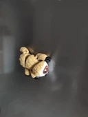 Sevimli Hareketli Tembel Hayvan Sloth Magnet thumbnail 3