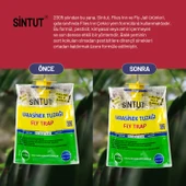 Sintut Medium, Karasinek Tuzağı thumbnail 3