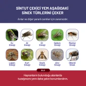 Sintut Large, Karasinek Tuzağı thumbnail 5