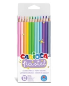 Carioca Kuru Boya Kalemi 12 Renk thumbnail 1