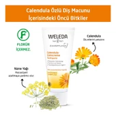 Weleda Calendula Özlü Organik Diş Macunu 75ml thumbnail 3