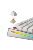 Glorious Panda Hall Effect Sessiz Mekanik Klavye Switch 36 Adet thumbnail 2