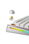 Glorious Panda Hall Effect Mekanik Klavye Switch 36 Adet thumbnail 2