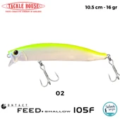 Tackle House Feed Shallow 105F No: 02 thumbnail 1
