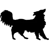 Folyo Sticker Köpek thumbnail 1