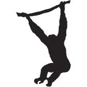 Folyo Sticker Maymun thumbnail 1