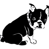 Folyo Sticker Yavru Köpek thumbnail 1