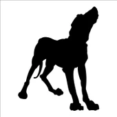 KÖPEK FOLYO STİCKER DERSTV893 thumbnail 1