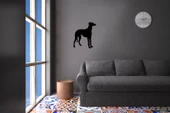 KÖPEK FOLYO STİCKER DERSTV879 thumbnail 2