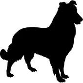KÖPEK FOLYO STİCKER thumbnail 1