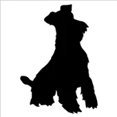 KÖPEK FOLYO STİCKER DERSTV888 thumbnail 1