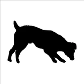 KÖPEK FOLYO STİCKER thumbnail 1