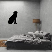 KÖPEK FOLYO STİCKER DERSTV895 thumbnail 2