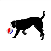 TOP OYNAYAN KÖPEK FOLYO STİCKER thumbnail 1