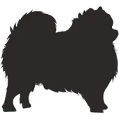 KÖPEK FOLYO STİCKER thumbnail 1