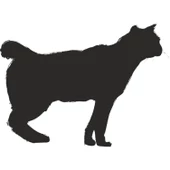 KEDİ FOLYO STİCKER thumbnail 1