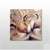 Kedi Çift  Kanvas Tablo thumbnail 1