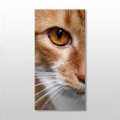 Kedi Kanvas Tablo thumbnail 1