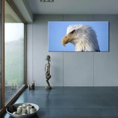 Şahin Kanvas Tablo thumbnail 2