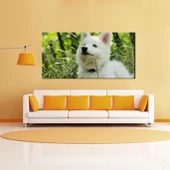 Beyaz Köpek Kanvas Tablo thumbnail 2