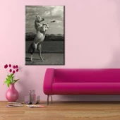 Şaha Kalkan At Kanvas Tablo thumbnail 2