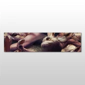 Hamster Kanvas Tablo thumbnail 1