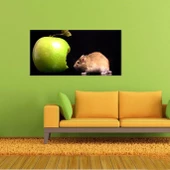 Elma Ve Hamster Kanvas Tablo thumbnail 2