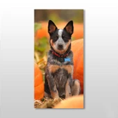 Köpek Kanvas Tablo thumbnail 1