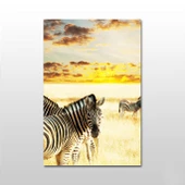 Zebra Kanvas Tablo thumbnail 1
