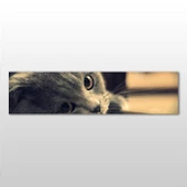 Kedi Kanvas Tablo thumbnail 1