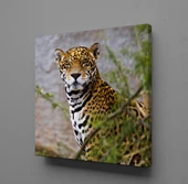 LEOPARIN DURUŞU KANVAS TABLO thumbnail 1