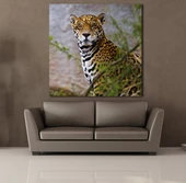 LEOPARIN DURUŞU KANVAS TABLO thumbnail 2